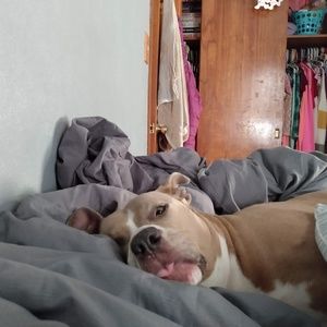 Meet your Posher, Bryan